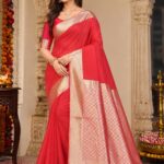 Banarsi Chifoon Saree - Red